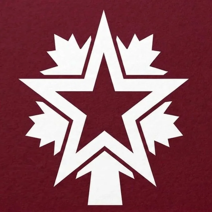 Maple & Lone Star Consulting Logo